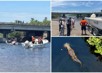 🐊👀 Horror en Michoacán: cocodrilo se lleva a un niño mientras espectadores miraban