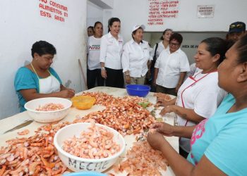 Suspensión de despicadoras y tortillerías por riesgo sanitario en Tampico-Madero