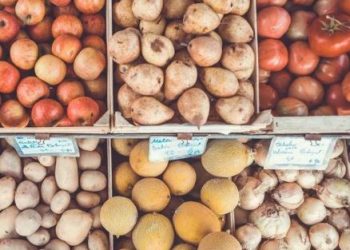 Colombia regresa a la FAO tras 30 años: un nuevo capítulo en la lucha contra el hambre y la pobreza