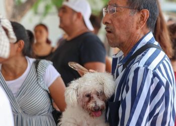 GOBIERNO DE ANA PATY PERALTA PROTEGE LA SALUD PÚBLICA CON CAMPAÑA DE VACUNACIÓN ANTIRRÁBICA GRATUITA