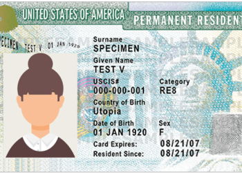 Cuánto tarda en llegar la ‘green card’ y por qué es clave para los inmigrantes en EE.UU.