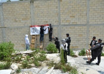 Aseguran predio por daños al medio ambiente en Benito Juárez