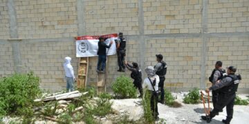 Aseguran predio por daños al medio ambiente en Benito Juárez