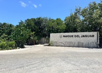 «El alcalde de Tulum expone falta de acceso gratuito en el Parque del Jaguar»