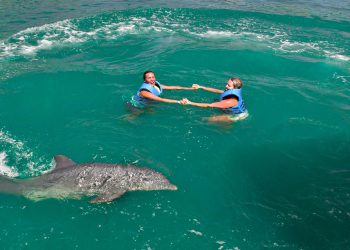 Delphinus se ampara para mantener delfines en cautiverio