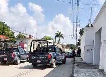 Detienen a sujetos que lesionaron a un perro durante riña en Cancún