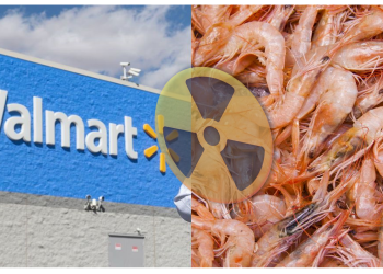 🦐 FDA alerta por camarones contaminados con cesio-137 vendidos en Walmart