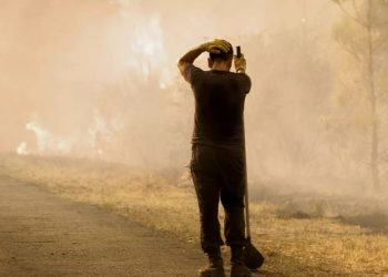 Mar de Plástico, la riqueza y las sombras del invernadero más grande de Europa