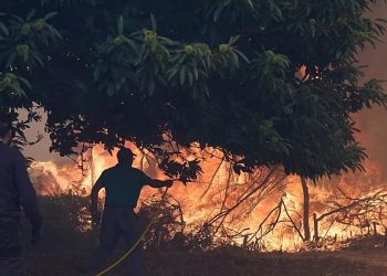 Incendios en España y Portugal arrasan casi 10.000 km² en 2025
