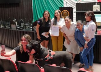 “Quintana Roo busca reconocer a perros de asistencia y animales de apoyo emocional”
