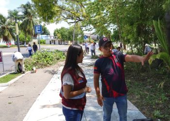 «Brigada Bahía limpia más de 45 toneladas de basura en Chetumal»