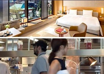 Andy López Beltrán derrochó al menos 200 mil pesos en Japón, según facturas filtradas