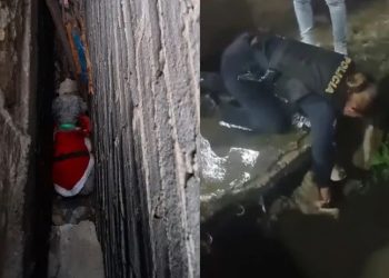 Policías de CdMx rescatan a perritos en Iztapalapa y Álvaro Obregón