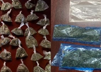 Detienen a 6 personas con drogas en Sonora durante operativos de seguridad