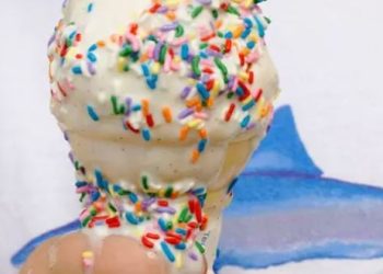 La búsqueda científica del helado que no se derrite: ¿ficción o realidad?