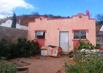 🐕 Escalofrío en Nogales: 54 perros rescatados, congelados y vinculados a un expolicía