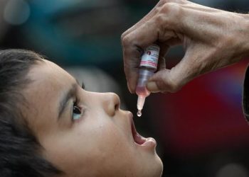 La polio resurge: errores de vacunación y gestión frenan su erradicación
