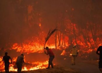 Incendios forestales amenazan Patras mientras ola de calor azota Europa
