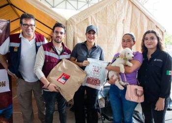 Bienestar animal en Playa del Carmen, estefanía Mercado impulsa estrategia estatal