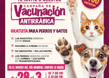 Ana Paty Peralta Impulsa Vacunación Antirrábica Gratuita para Mascotas
