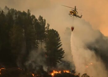 «Los incendios en la Península Ibérica empeoran la calidad del aire en Europa»