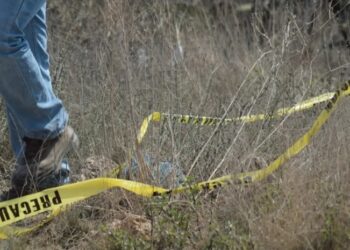 «Violencia Fronteriza: El Hallazgo de Seis Cadáveres entre Jalisco y Zacatecas»