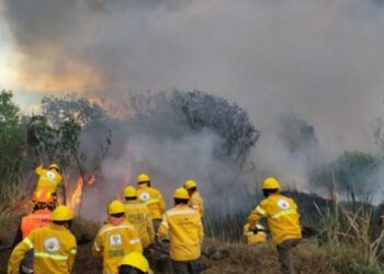 «UNAM desarrolla sistema de IA para detectar humo de incendios forestales en tiempo real»