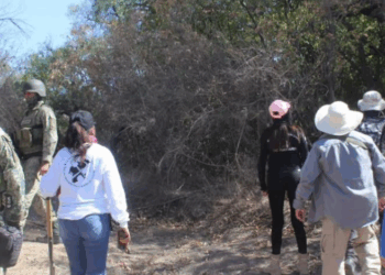 Crisis Forense y Burocracia: El Semefo es la «Fosa Clandestina del Estado»