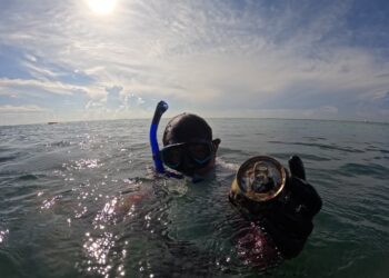 Limpieza de playas en Playa del Carmen suma más de 2.5 toneladas de residuos