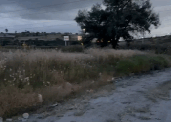 Cateo en Edomex Revela Pistas Cruciales de Asesinato de Músicos