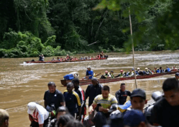 Darién: La Larga Batalla para Identificar los Cuerpos de Cientos de Migrantes en la Selva