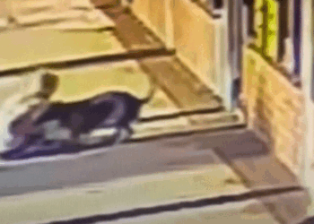 Insólito rescate: Anciana muerde a un pitbull para salvar a su perro