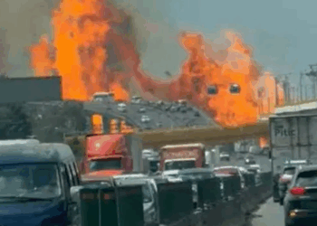 Alicia, la abuela heroína que luchó por la vida de su nieta en la tragedia de La Concordia