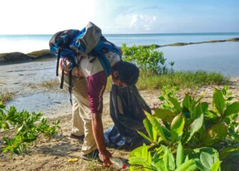 Recolectan Más de Media Tonelada de Basura en el Boulevard Bahía de Chetumal