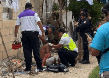 Violento Agresor es Detenido Tras Sembrar el Pánico en Dos Regiones.