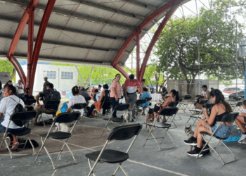 Una jornada de vacunación y esterilización masiva en Cancún.