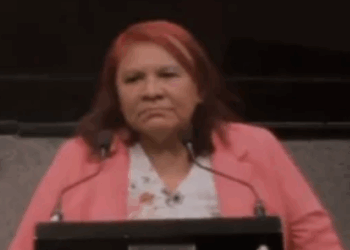 El Café de Veracruz Quiere Llegar a Marte: La Curiosa Propuesta de una Diputada de Morena