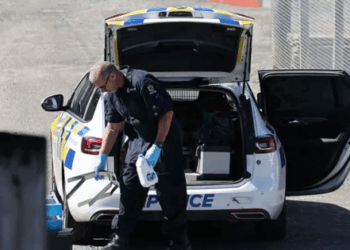 Un padre prófugo y sus hijos: el trágico final de Tom Phillips en Nueva Zelanda