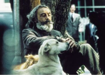 Amores Perros revive en Bellas Artes: una noche de cine y música inolvidable