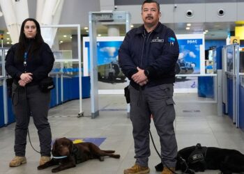 Inusual conflicto legal mantiene 30 piernas humanas retenidas en aeropuerto chileno