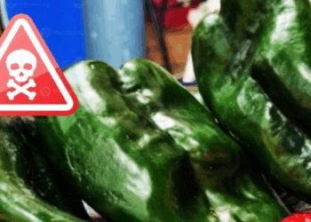 La Tradición en Riesgo: Chiles "Piratas" de China Reemplazan al Poblano en México