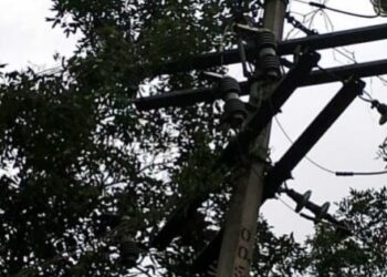 Cumplen ocho días sin energía eléctrica en Rancho Viejo, José María Morelos