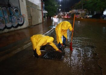 «Ana Paty Peralta encabeza operativo en Cancún para enfrentar las lluvias»