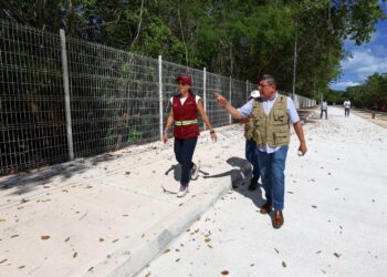 Avanza obra de mejora vial en la Calle 82; Ana Paty Peralta supervisa los trabajos