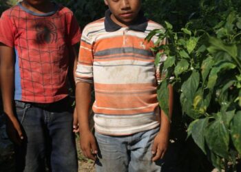 1.4 Millones de Niños Padecen Desnutrición Crónica en México 👶