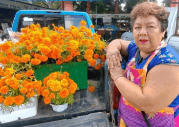 Mujer de José María Morelos cultiva más de 10 mil flores de cempasúchil para el Día de Muertos
