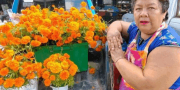 Mujer de José María Morelos cultiva más de 10 mil flores de cempasúchil para el Día de Muertos