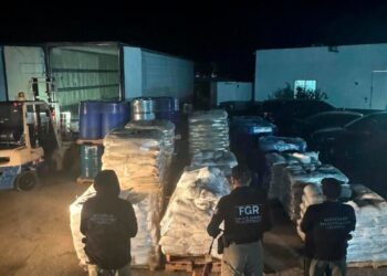 #VIDEO:Aseguran más de 13 toneladas de precursores químicos en Durango: golpe histórico al narcotráfico en la región