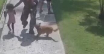 Agresión Insólita Hombre Ataca a Mujer Tras Defenderse Ella y su Hija de su Perro