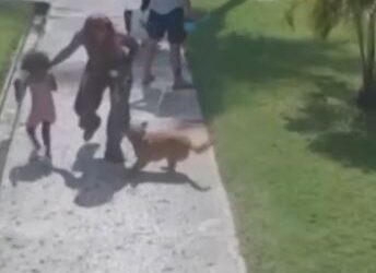 Agresión Insólita Hombre Ataca a Mujer Tras Defenderse Ella y su Hija de su Perro